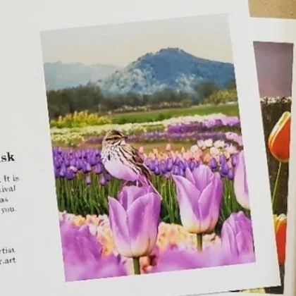 Notecards (Box of 10)
