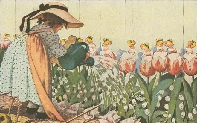 mary quite contrary's garden.jpg