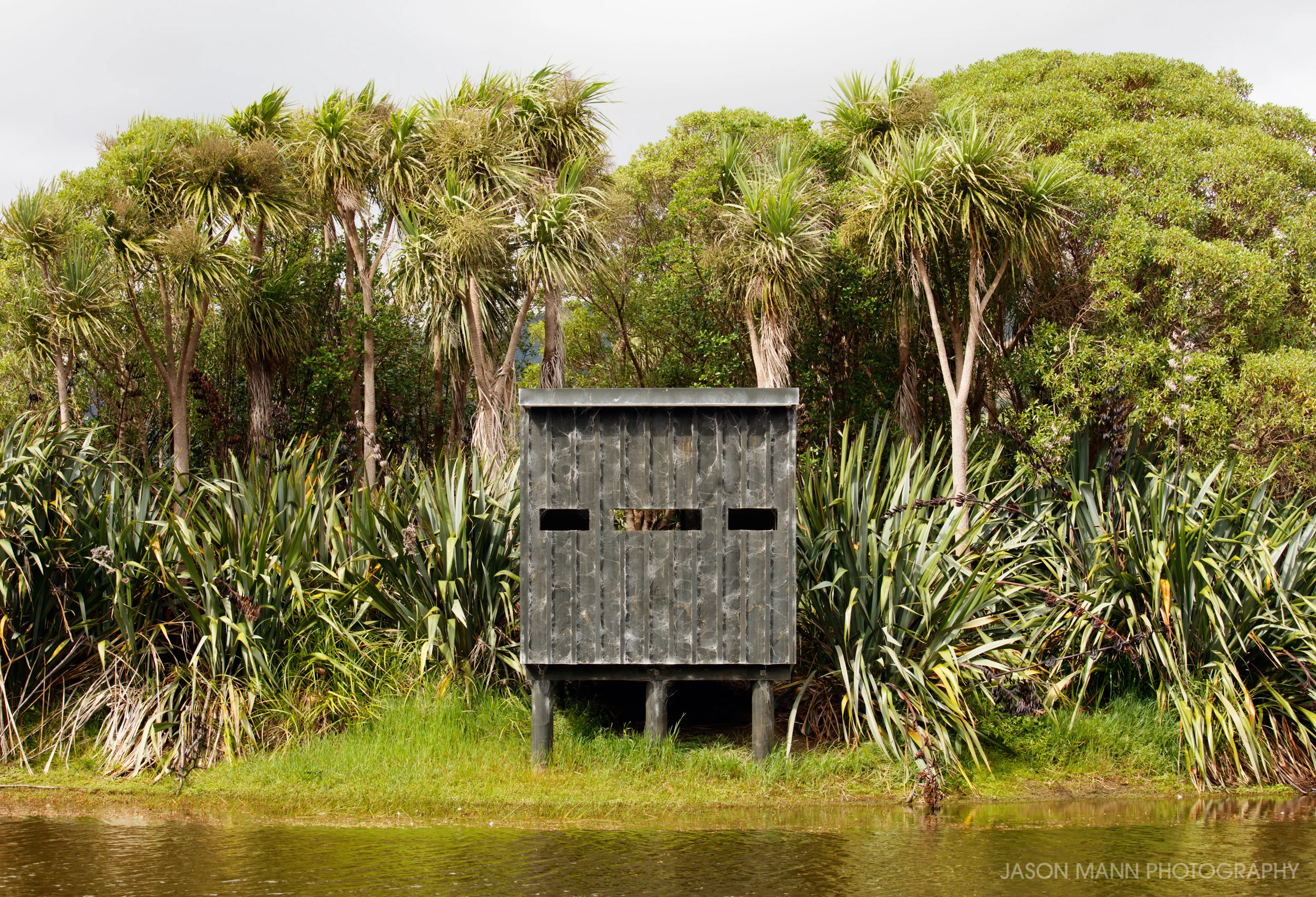 Queen Elizabeth Park, Wetlands