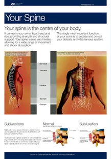 Your Spine Wall Chart.jpg