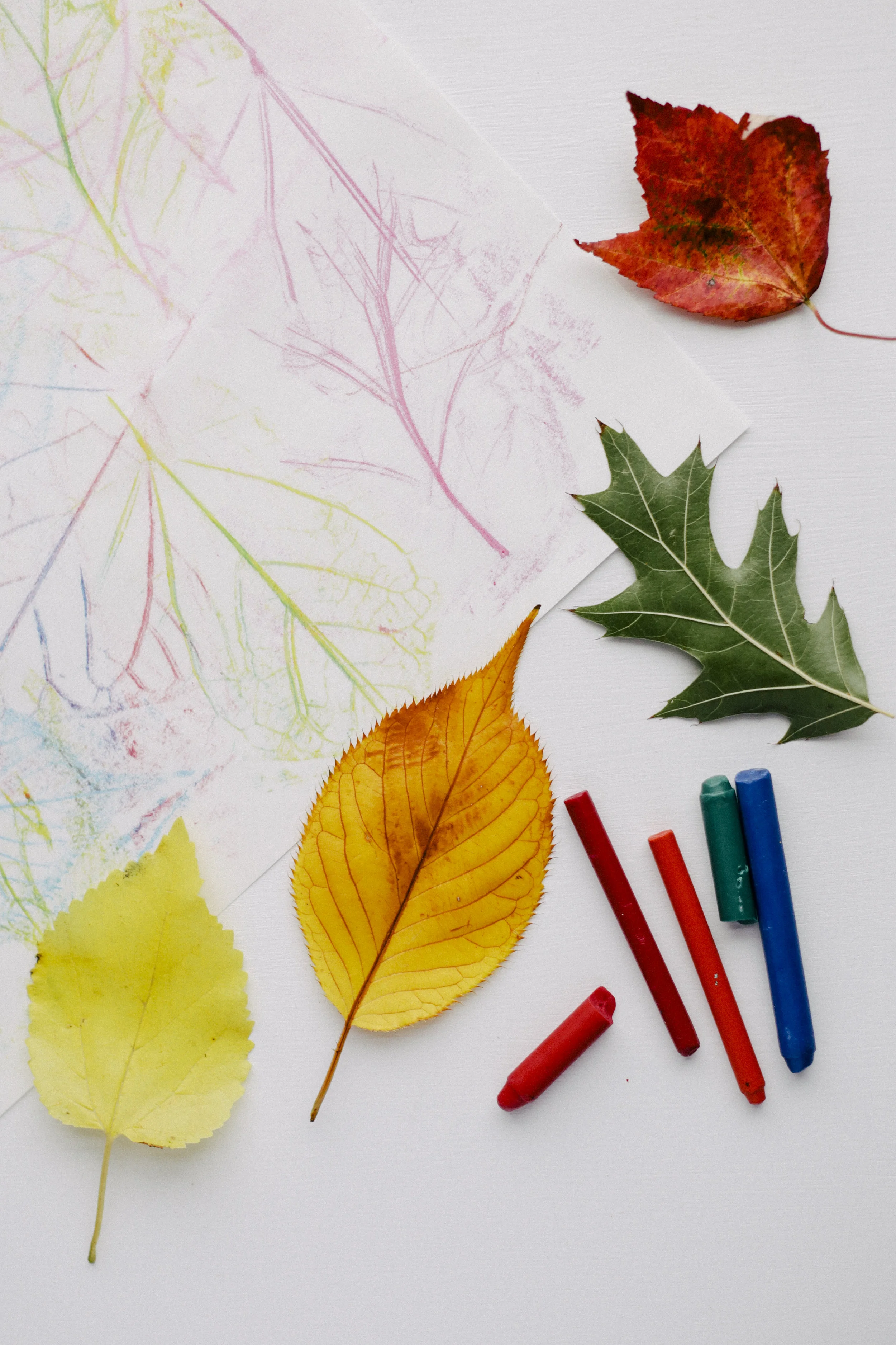 leaf-28.jpg