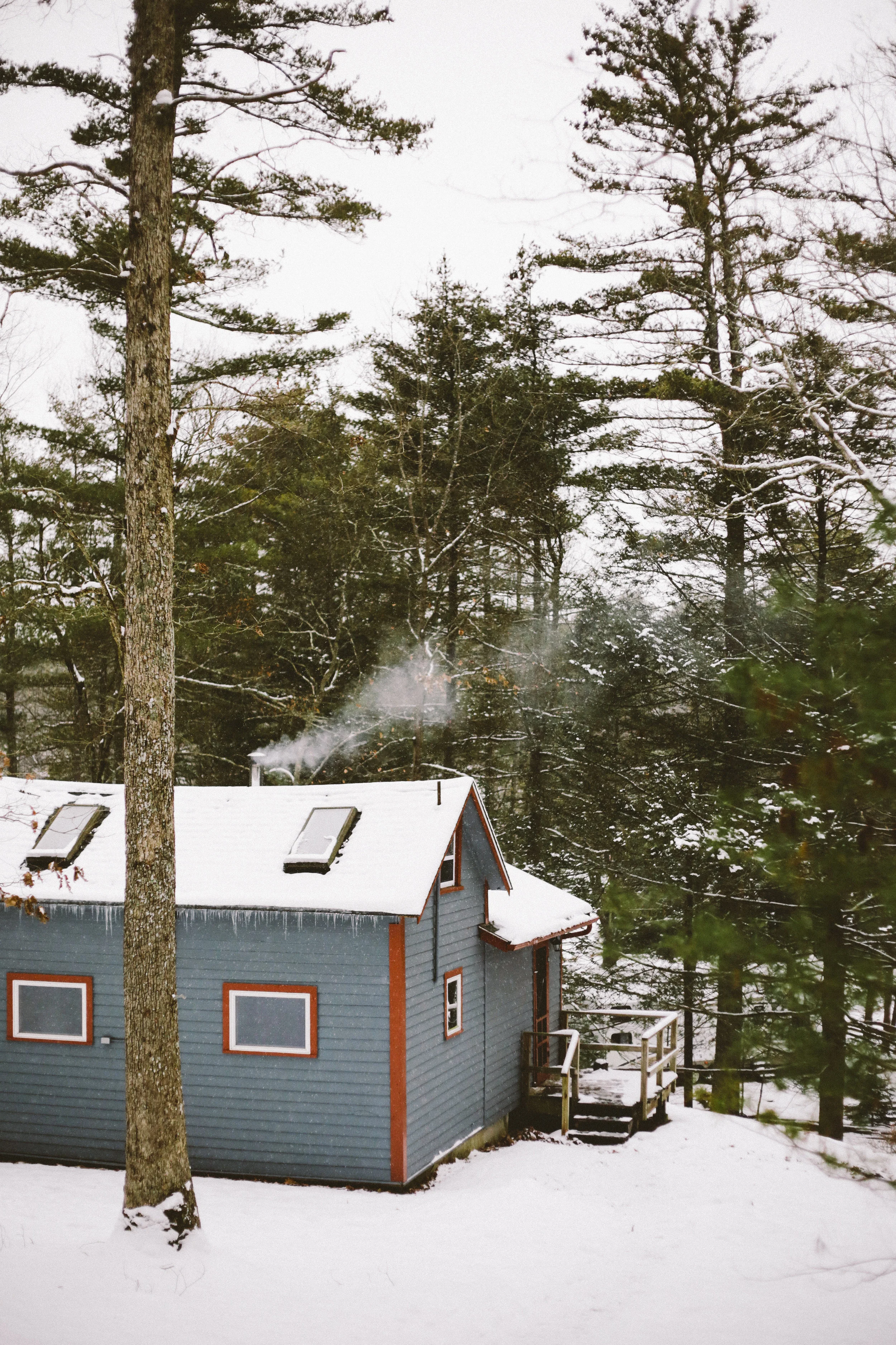 CABIN-75.jpg