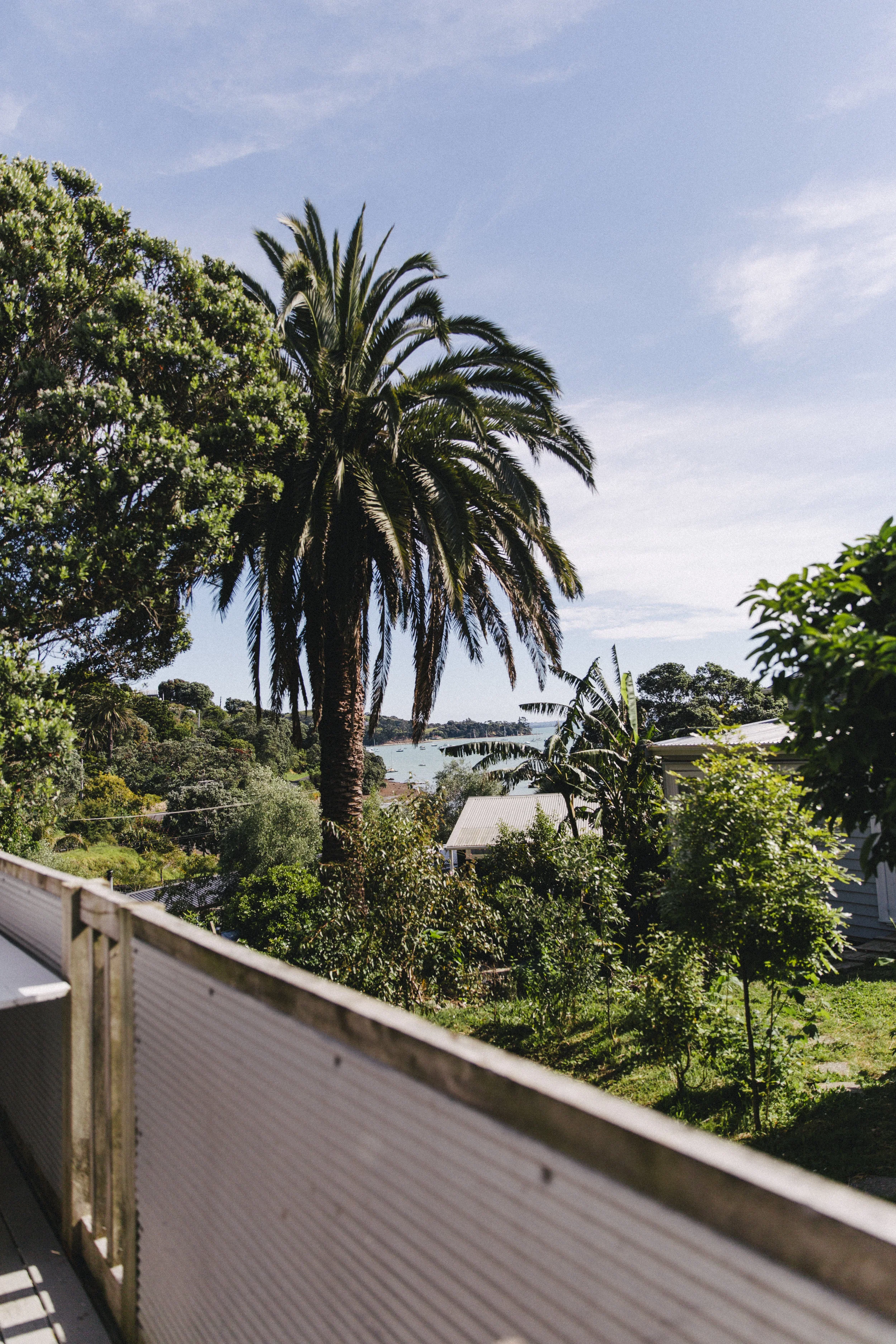 WAIHEKE-83.jpg