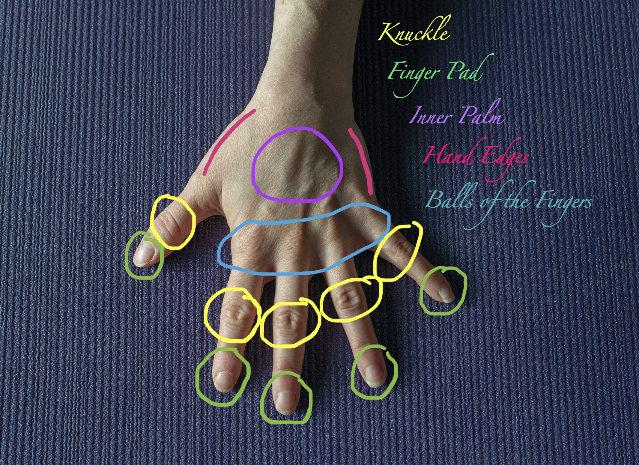 Correct Hand Placement for Yoga Poses — Lana Reed