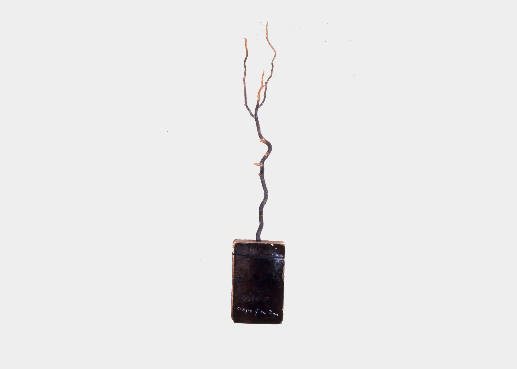 Keith Mitchell, Critique of Pure Reason , 1986, mixed media, arbutus branch, L 8 x H 57.5 x W 2 inches