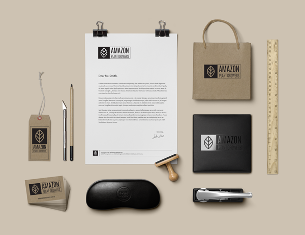 Amazon_Branding-Identity-MockUp_V6.png