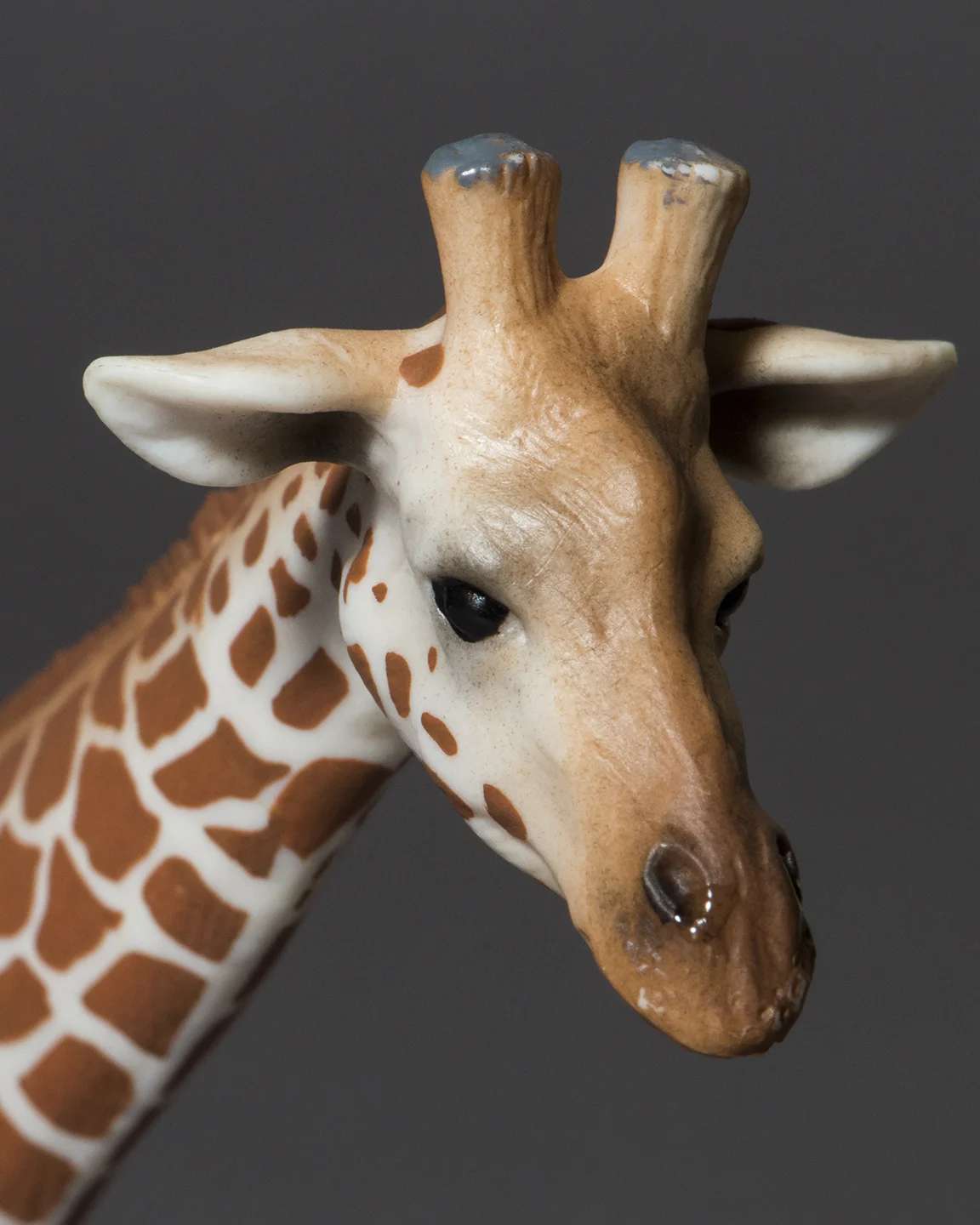 Giraffe Head