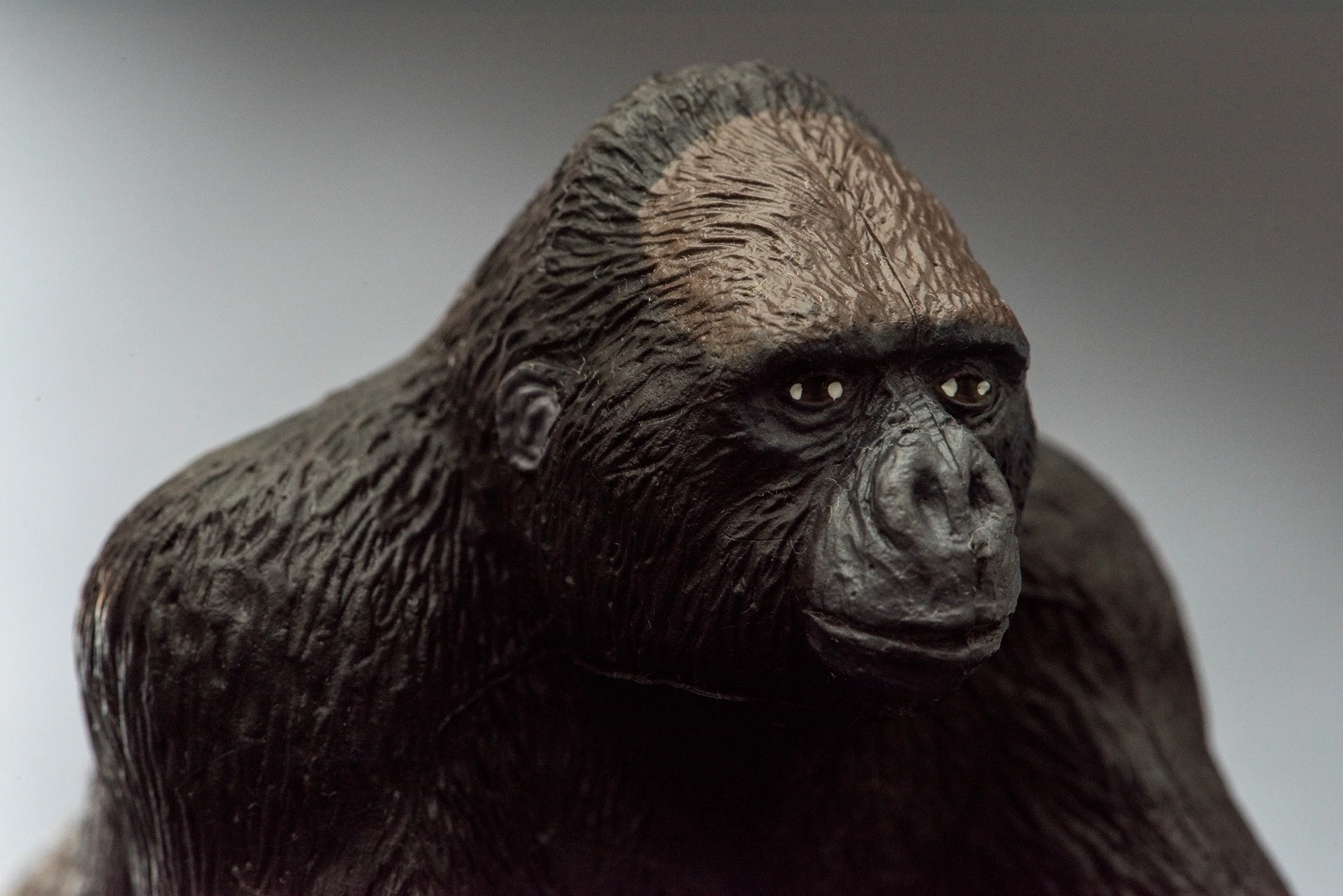 Gorilla #2 Glam