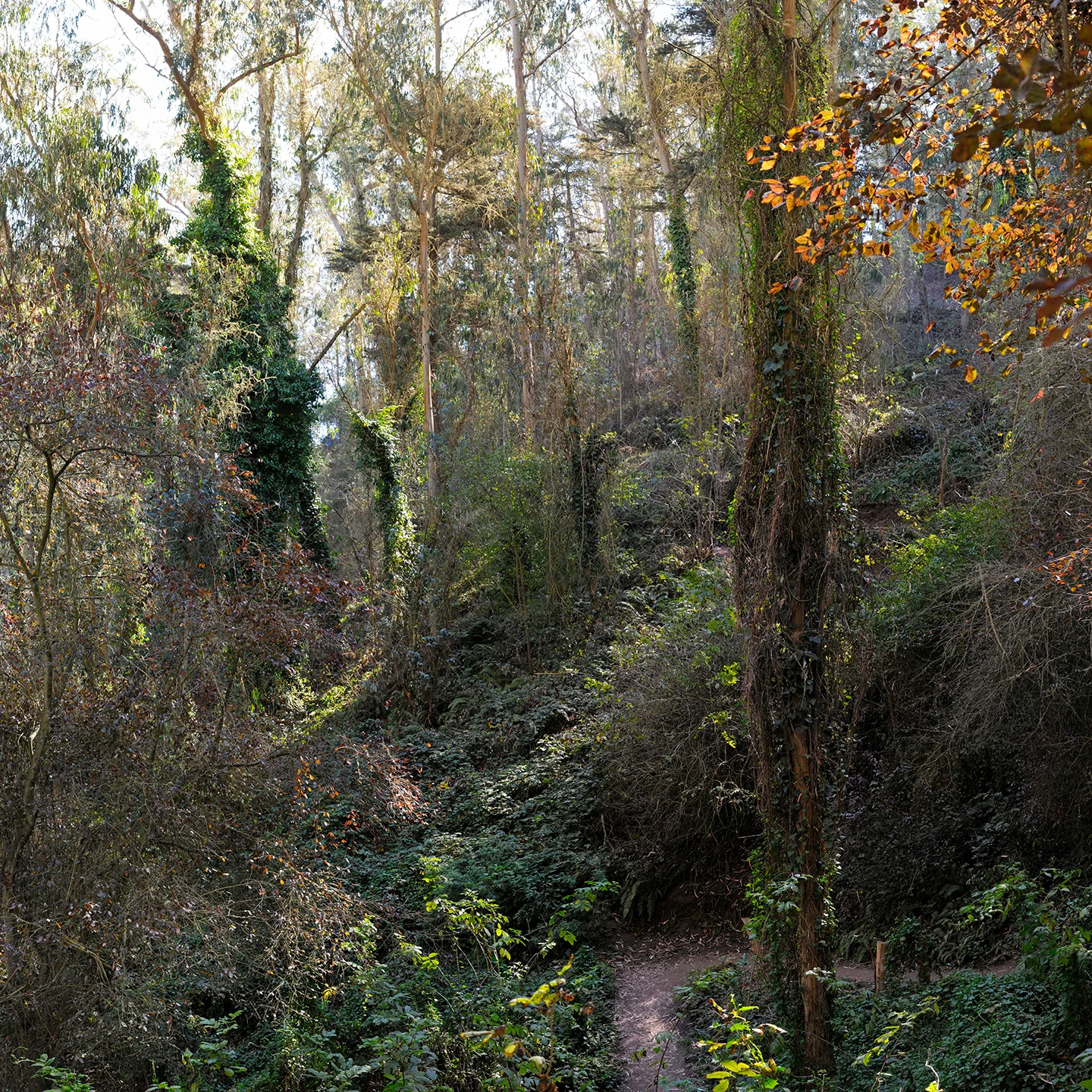 Fairy Gates Trail