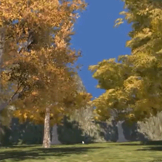 proto leaves-high-15fps-332-bright.gif