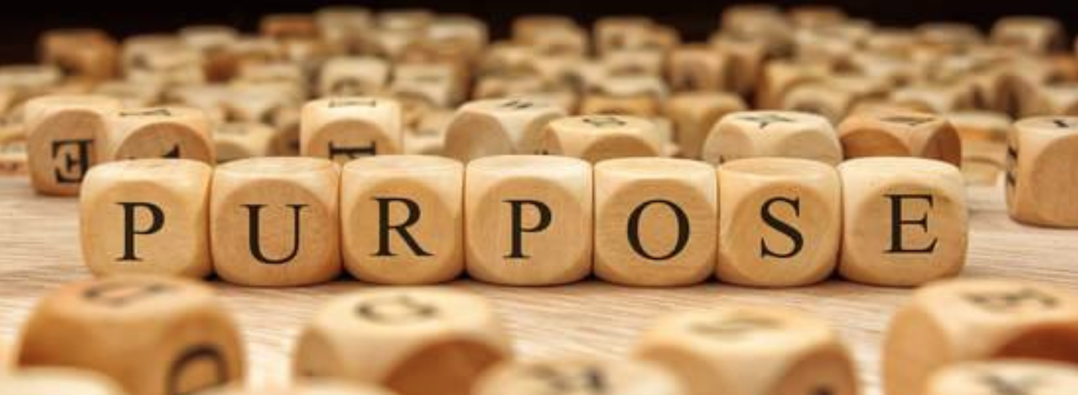 What Is The Purpose Of My Life?