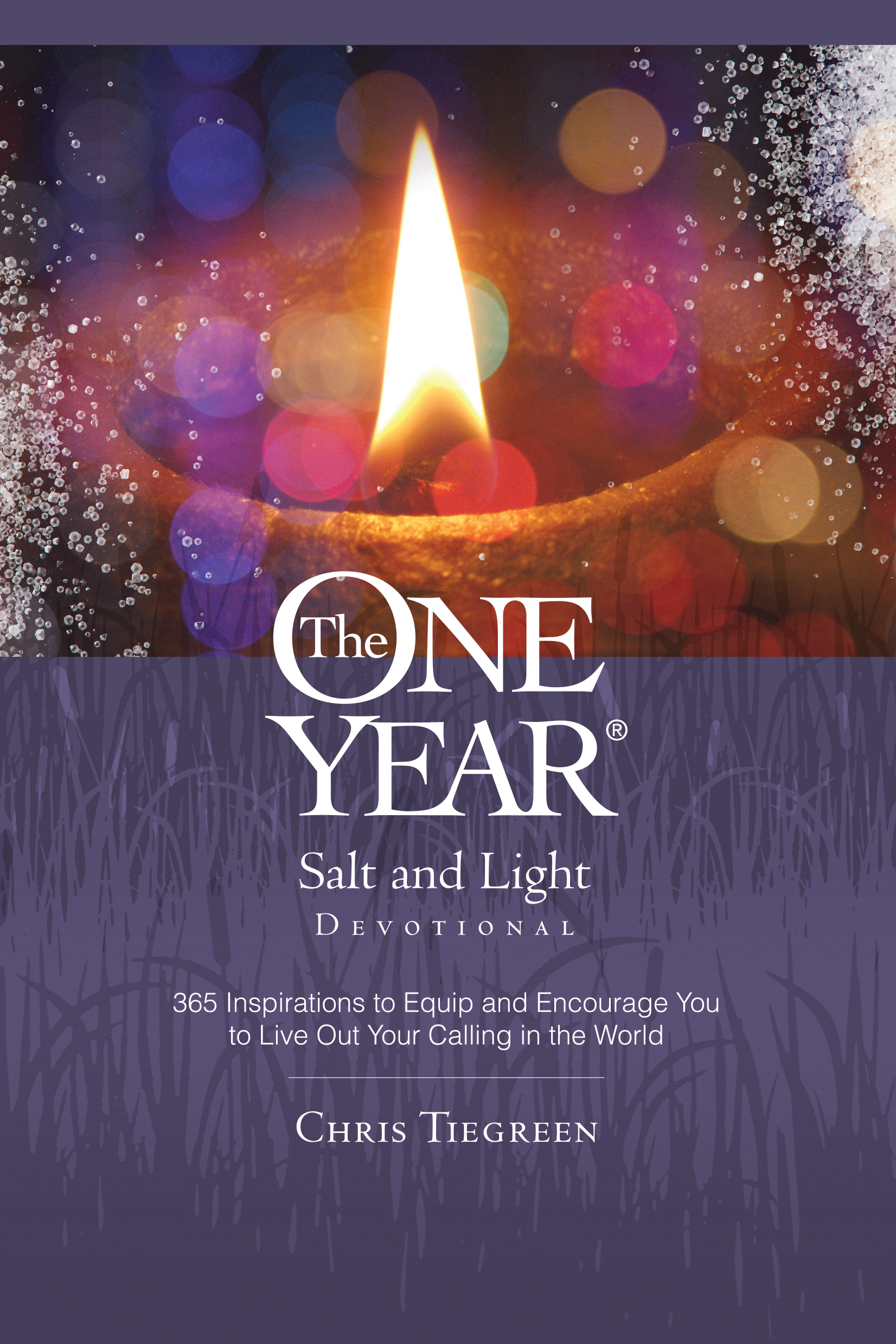 One Year_Salt&Light.jpg