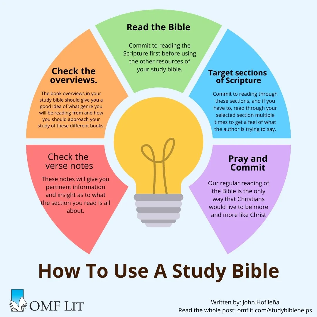 How Does a Study Bible Help Your Bible Reading?