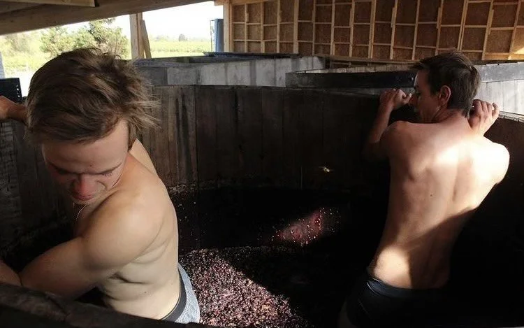 Wine Maker Tasting Series at the Fog Bottle Shop: Slow Dance