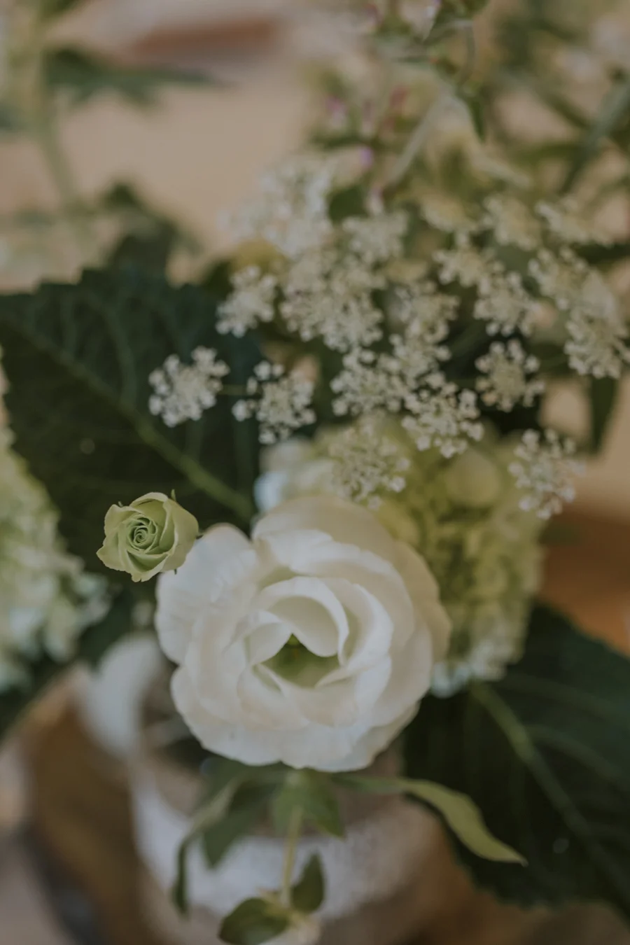 Jessica Photography_028.jpg