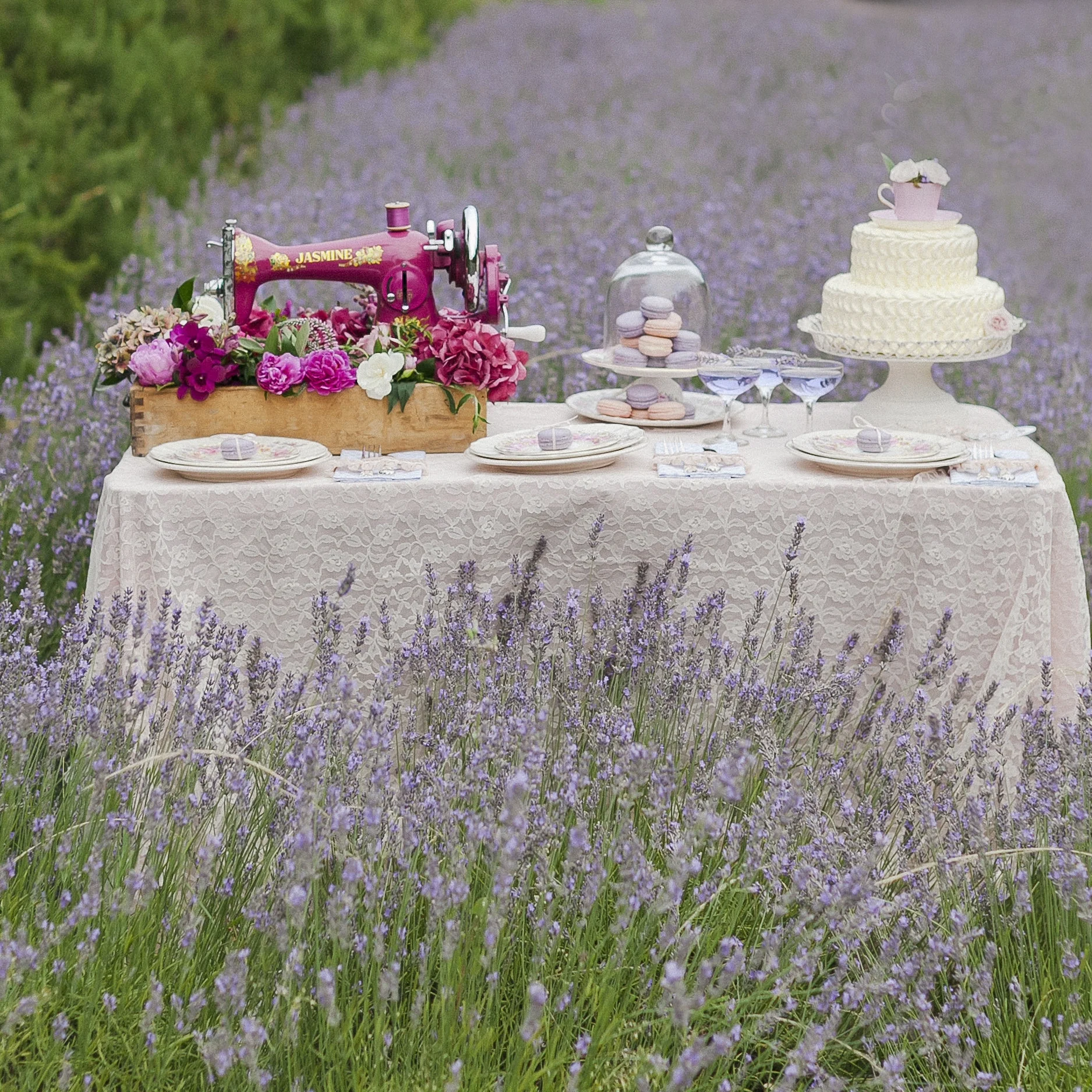 NZ Weddings (16).jpg