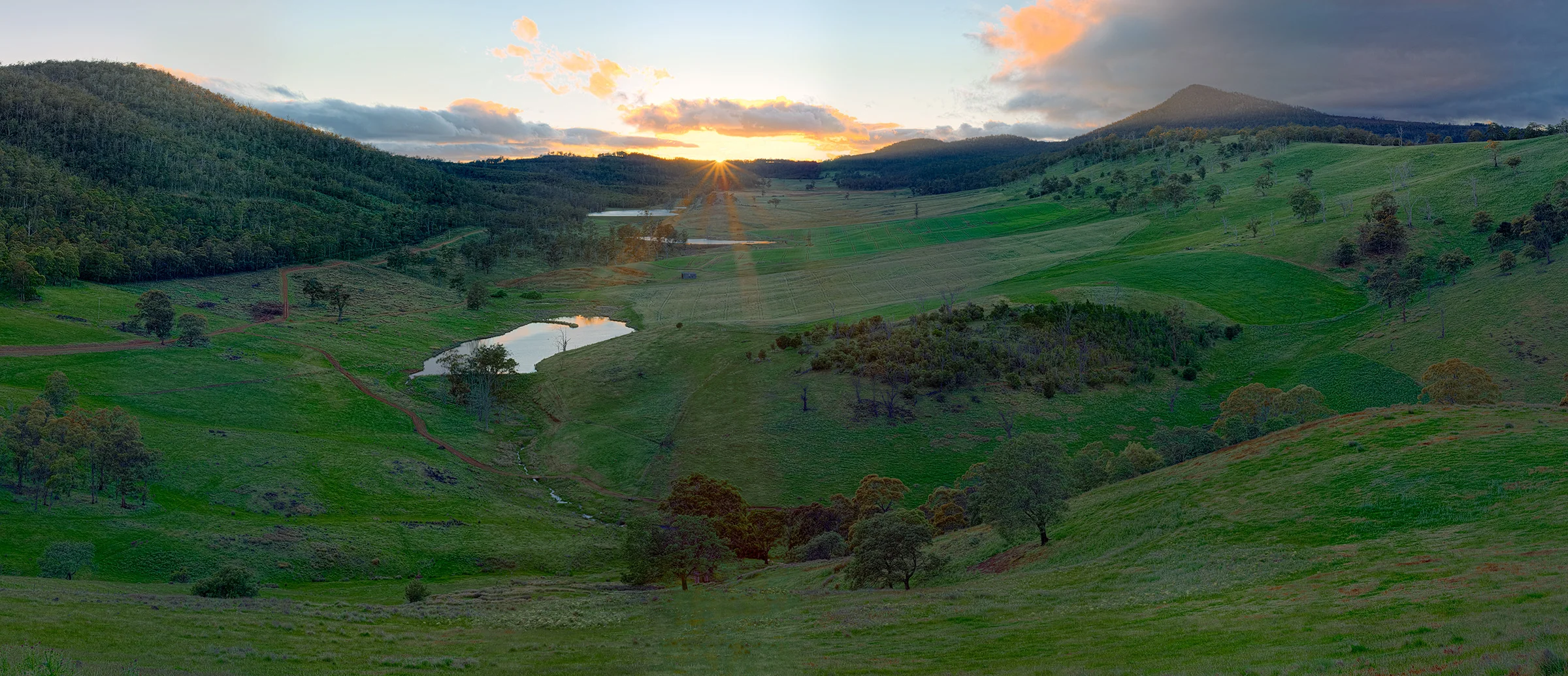 Sunrise-Bloomfield-Crop-Shp.jpg