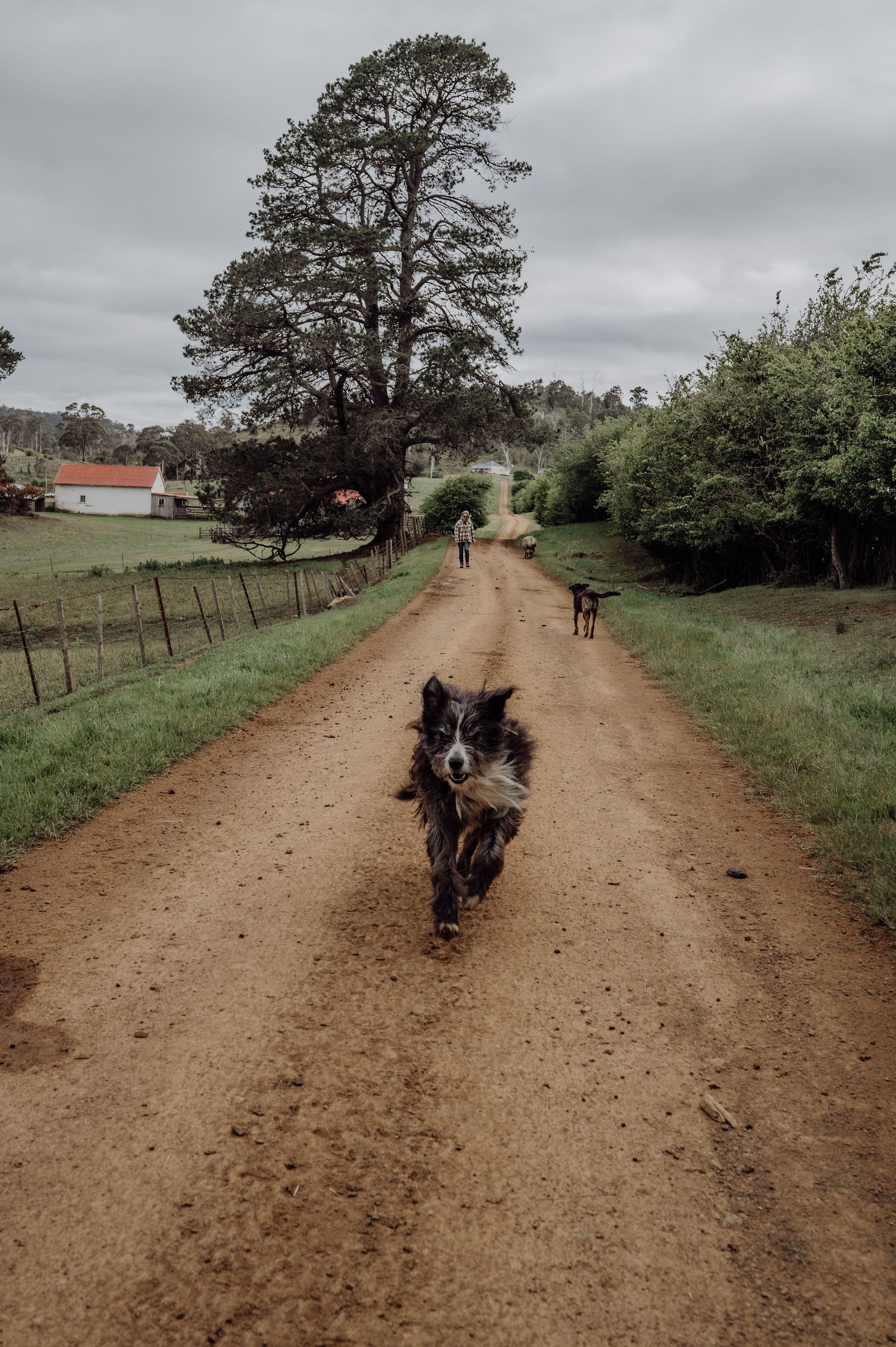 AKC_8626.jpg