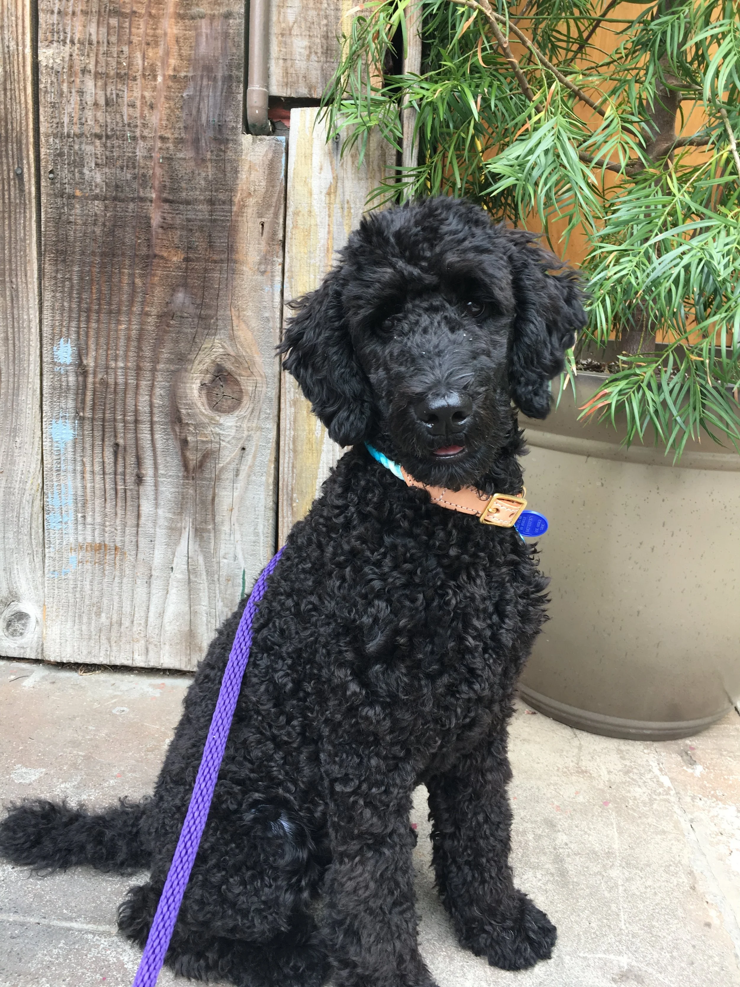 Cowabunga! Meli and I are hanging ❤️