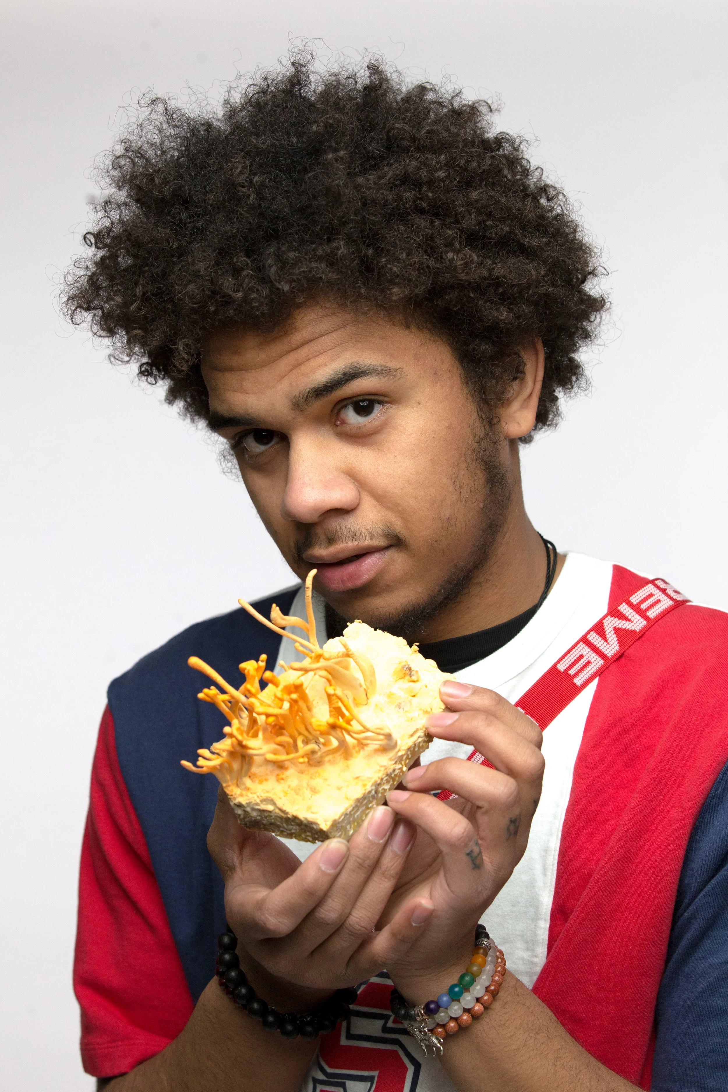 031 - Mindsets, Mycology & Creative Expression With William Padilla-Brown