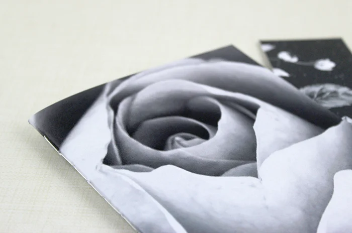 rose_bl_wh-3