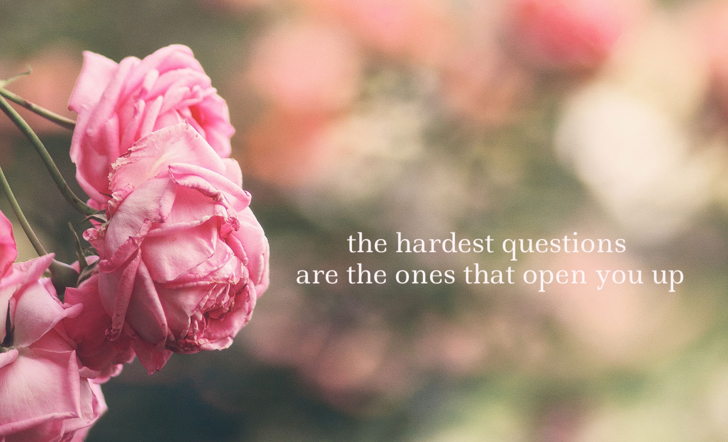 roses-w-word-layer.jpg