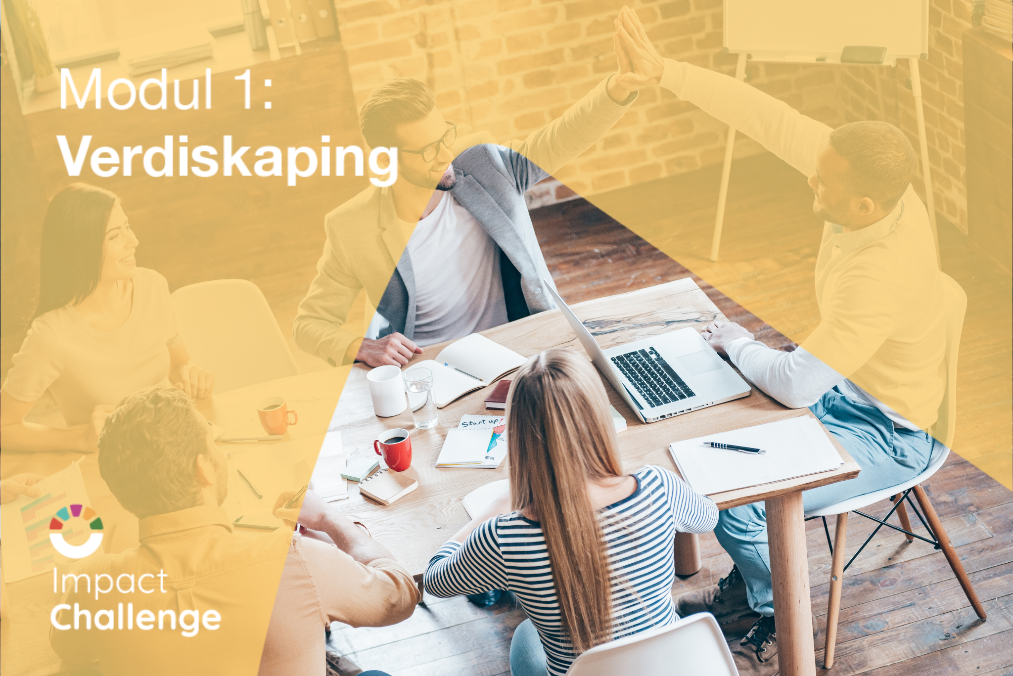 Modul 1: Verdiskaping (høst)
