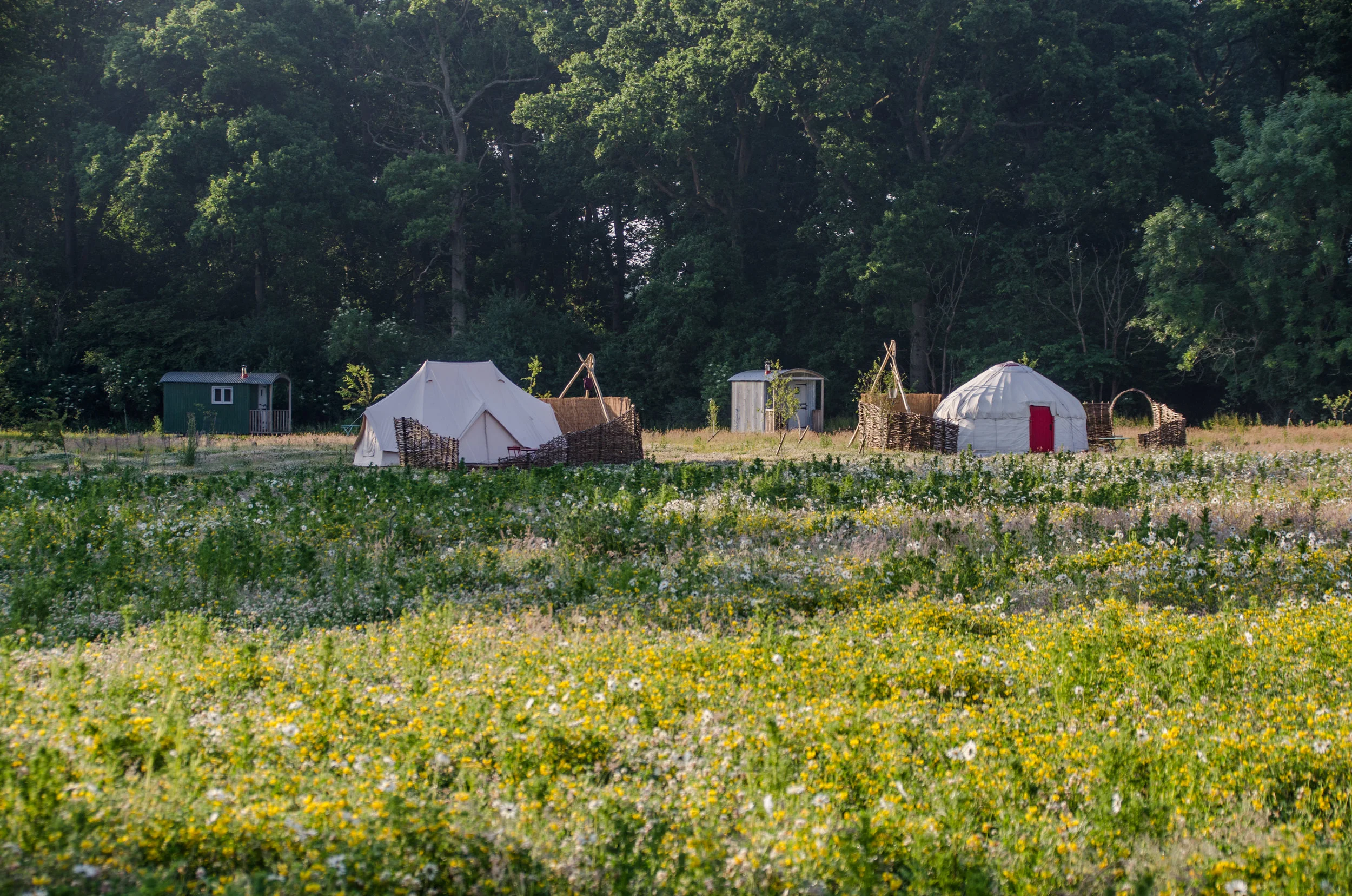 Knepp_Campsite_June2015.jpg