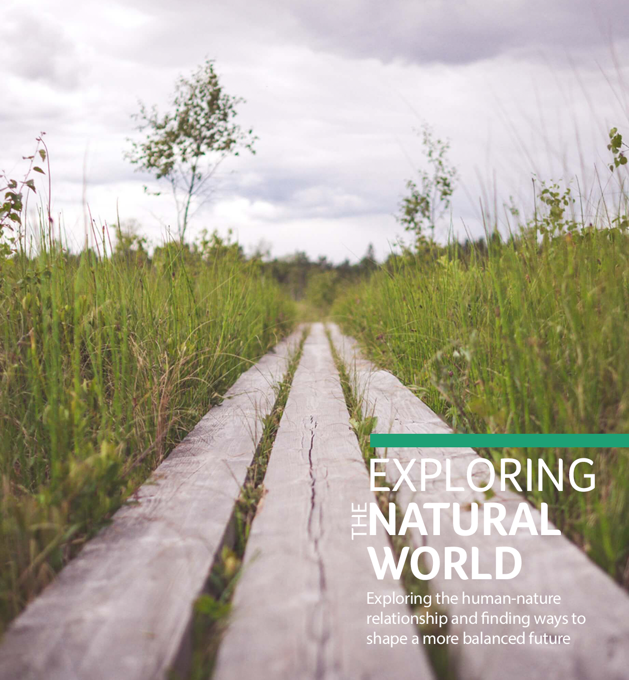 EXPLORING-NATURALWORLD2-Secondary.png