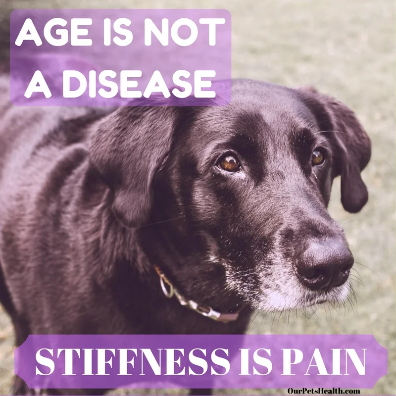 AGE IS NOT A DISEASE STIFFNESS IS PAIN.jpg