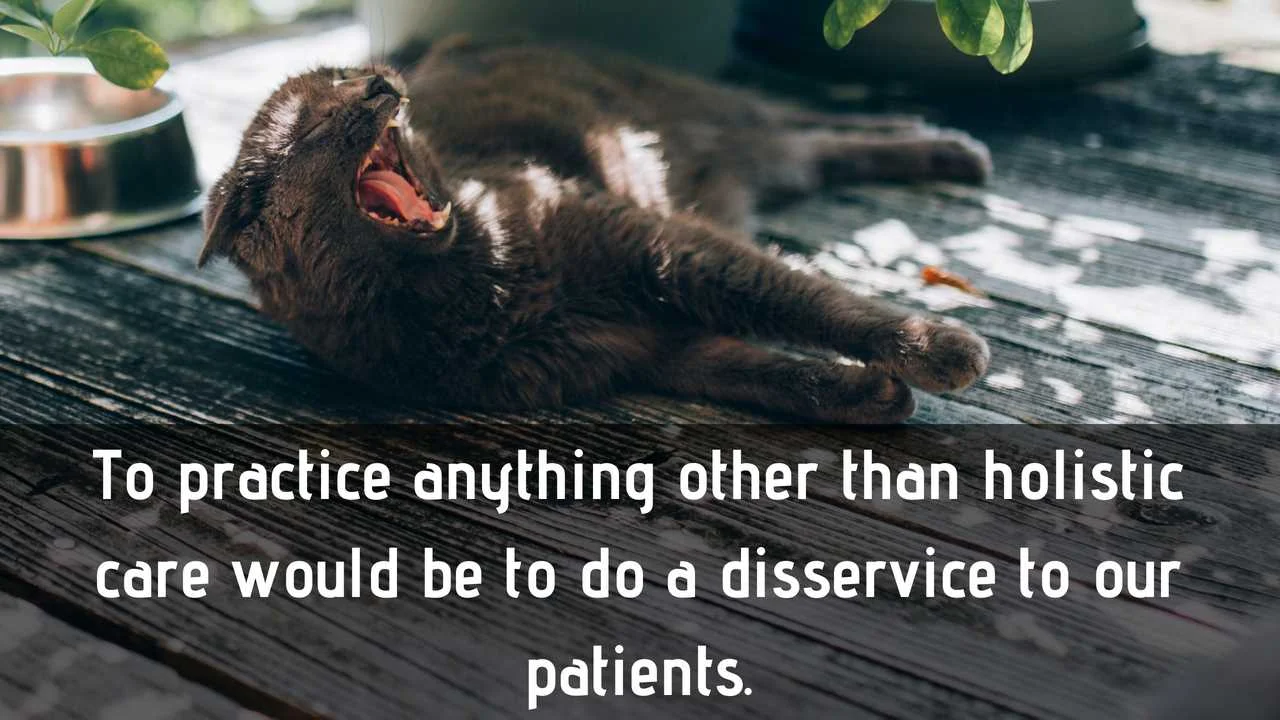 to practice anything other than holistic vet care would be to do our patients a disservice