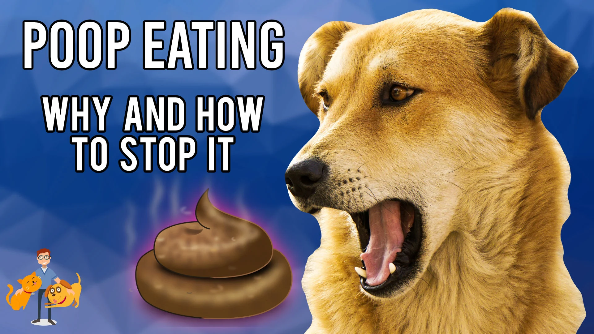 Dog Poop Dogs Eating Puppies Do Mother Dogs Eat Their Puppies Poop - Main Image