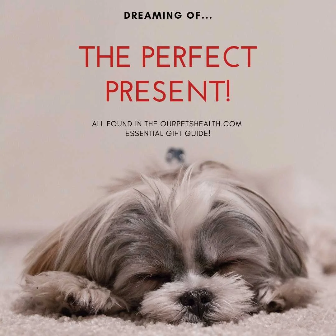 a dog dreaming of the perfect Christmas present