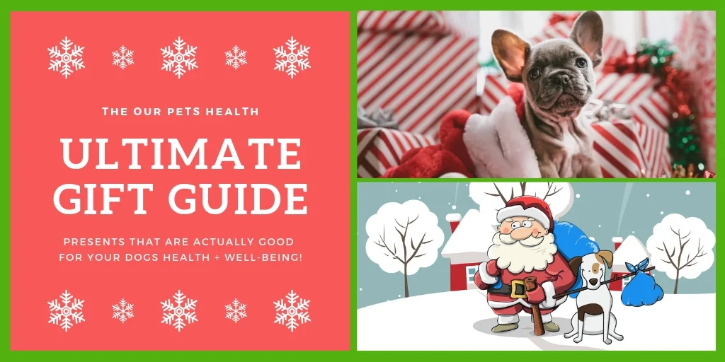 check out the our pets health ultimate guide to the best Christmas gifts for dogs