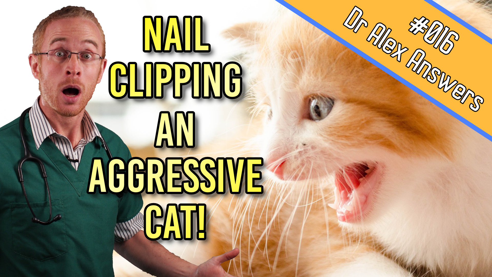 How to Trim Your Cat's Nails