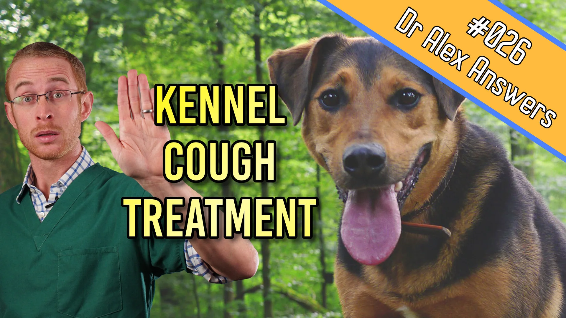 DAA kennel cough treatment.jpg