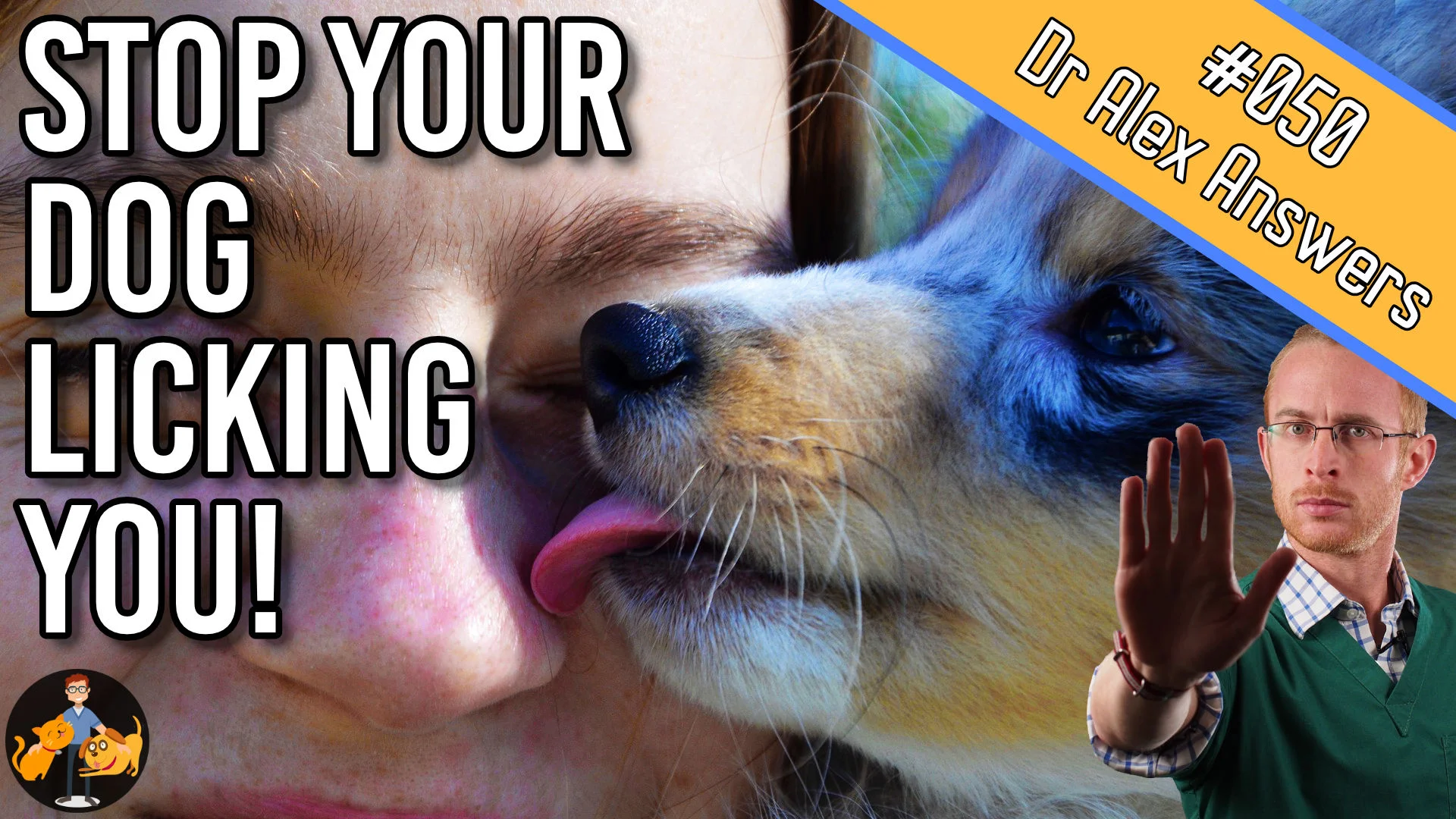 stop your dog licking you