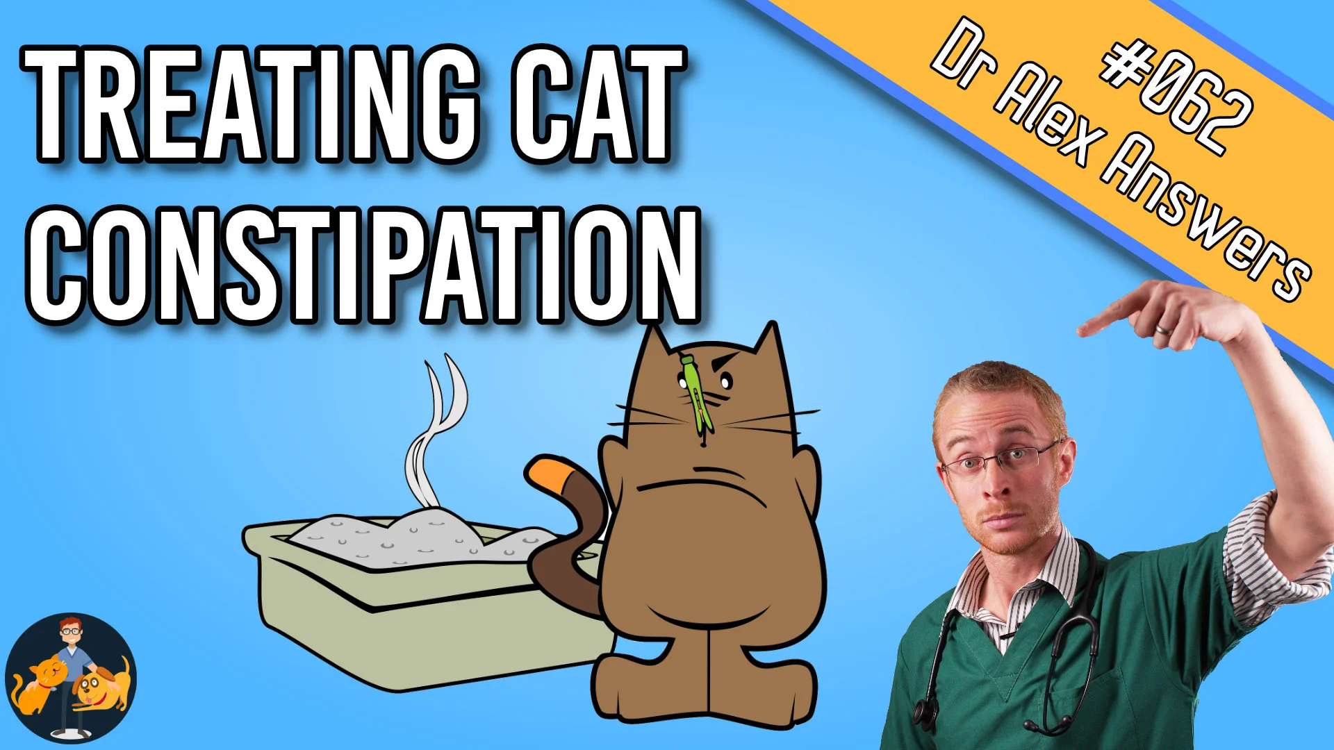 treating cat constipation with picture of cat standing by litter tray