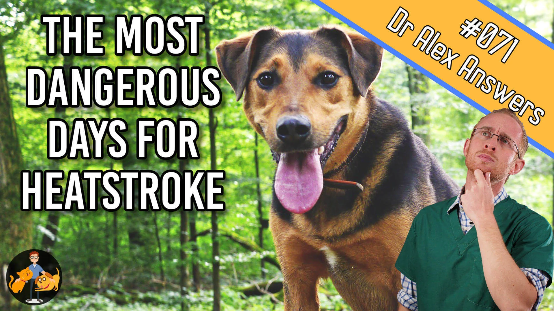 the most dangerous days for heatstroke with a hot panting dog