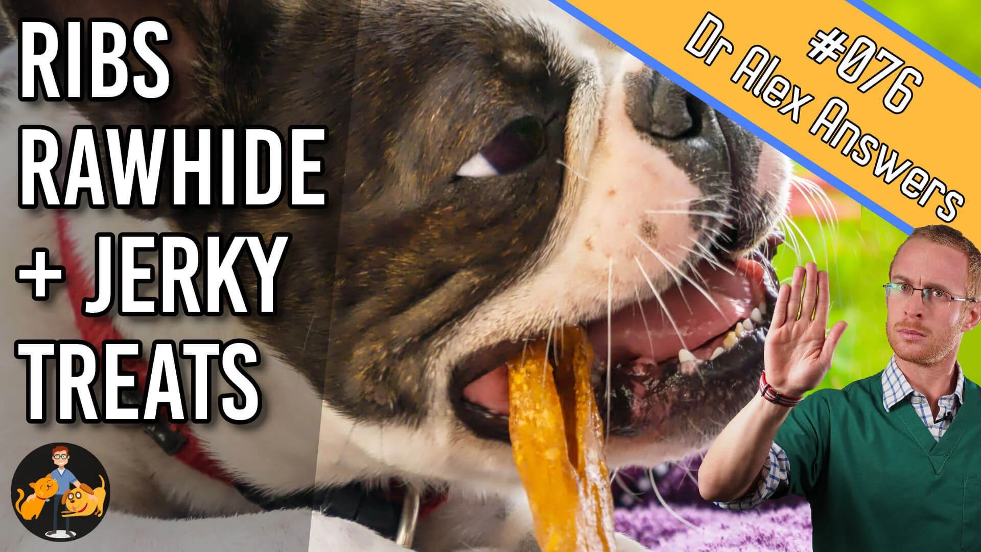 ribs, rawhide chews and jerky treat dangers