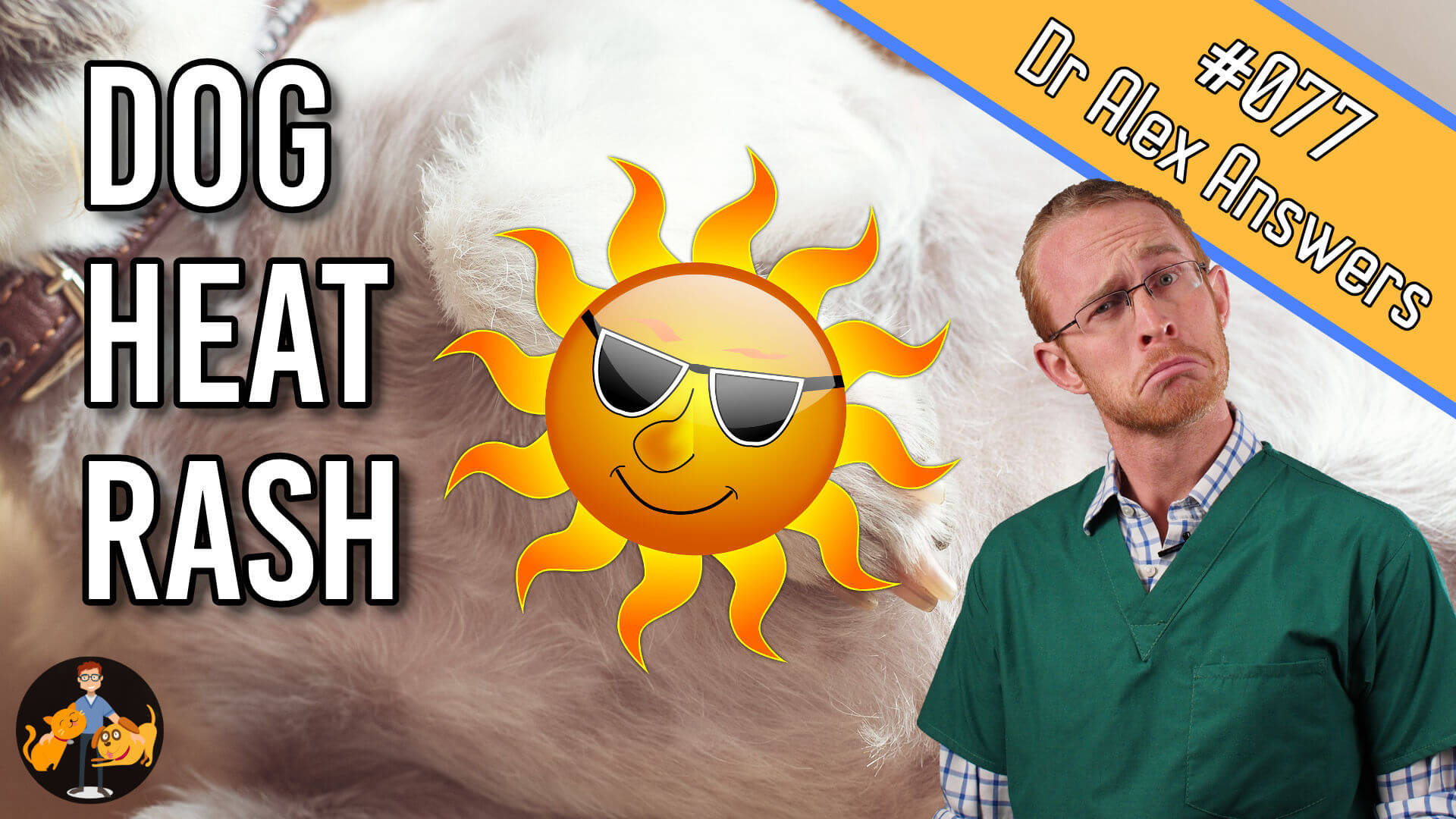 dog heat rash treatment