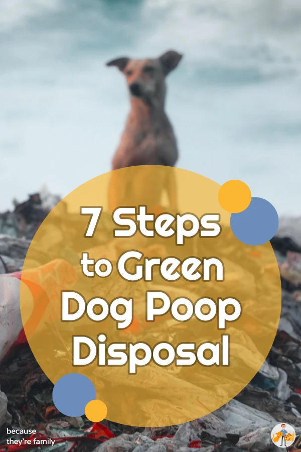7 steps to green dog poop disposal