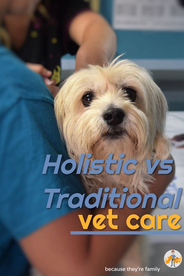 holistic vs conventional vet care