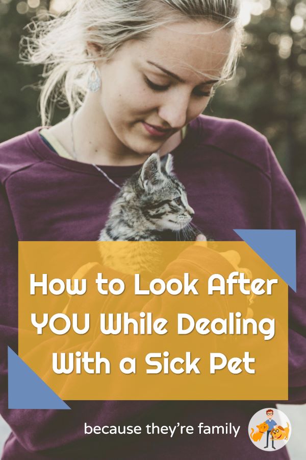how to look after you while dealing with a sick pet
