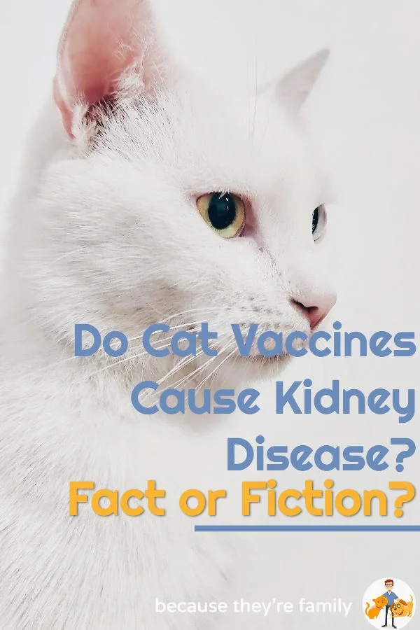 Do cat vaccines cause kidney disease? Fact or fiction?