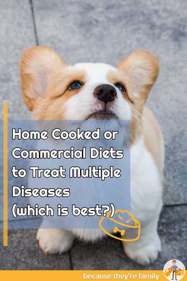 Home Cooked Or Commercial Diets To Treat Multiple Diseases Which