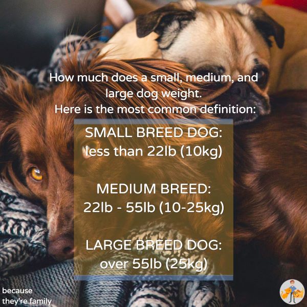 Large Dog Weight Chart