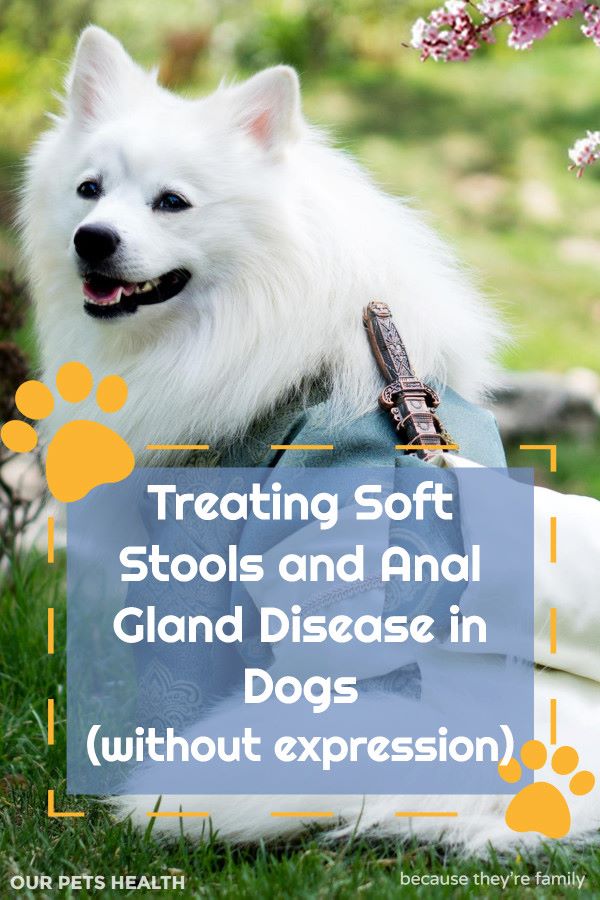 treating anal glands needing regular expression