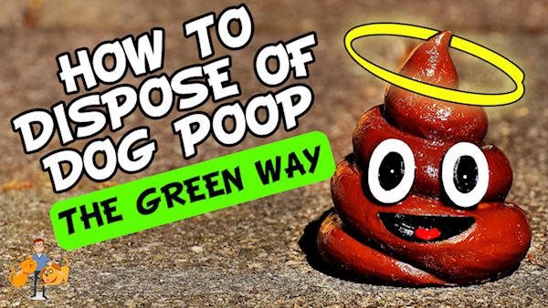 eco dog poop disposal