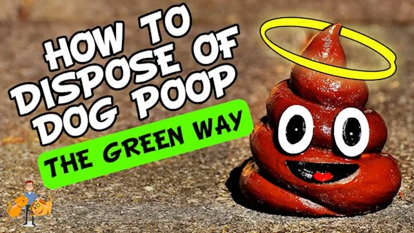 environmentally friendly way to pick up dog poop